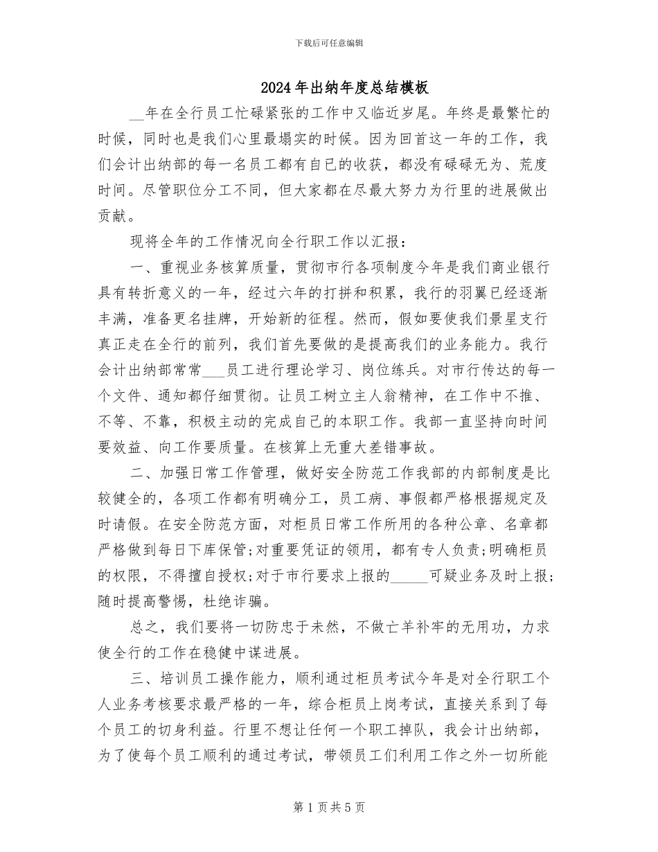 2024年出纳年度总结模板_第1页