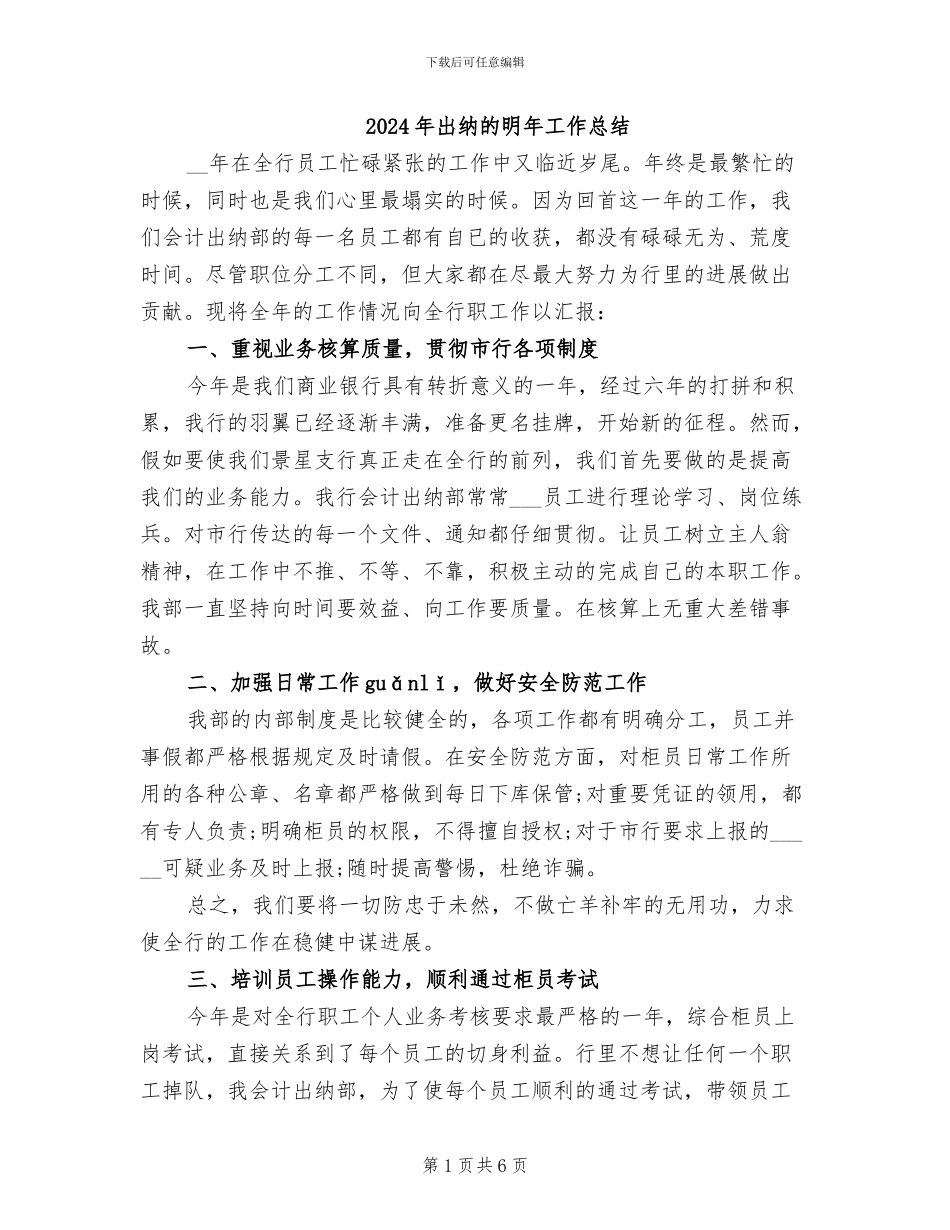 2024年出纳的明年工作总结_第1页