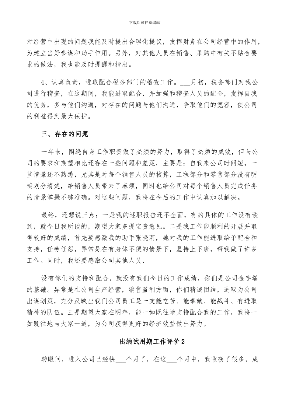 2024年出纳试用期工作评价总结_第3页