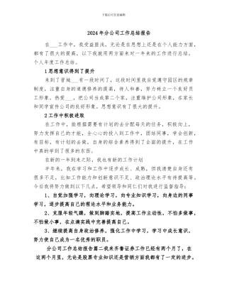 2024年分公司工作总结报告