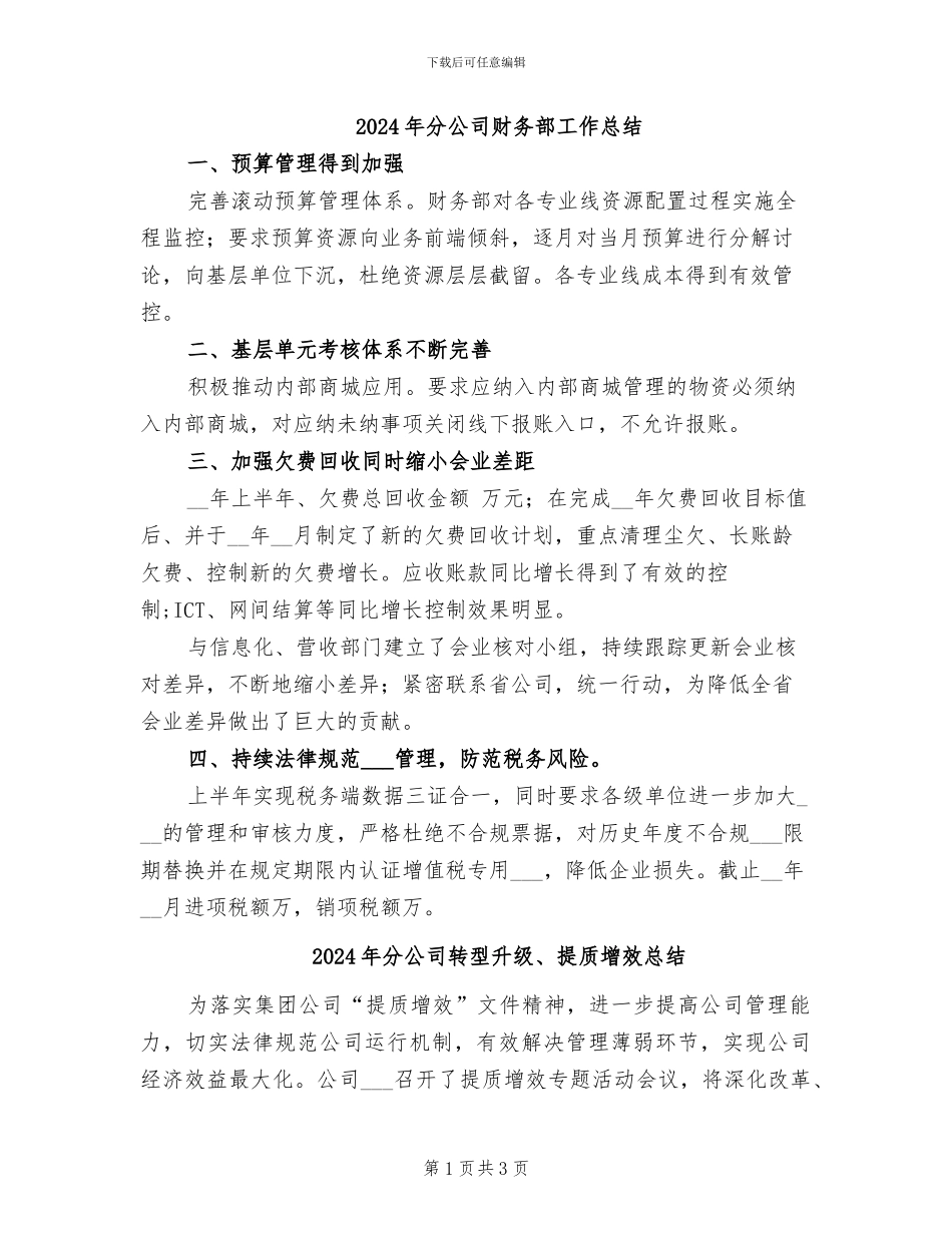 2024年分公司财务部工作总结_第1页