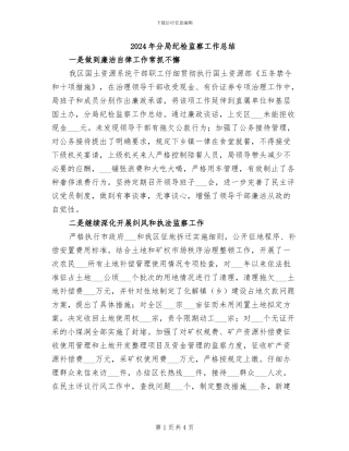 2024年分局纪检监察工作总结