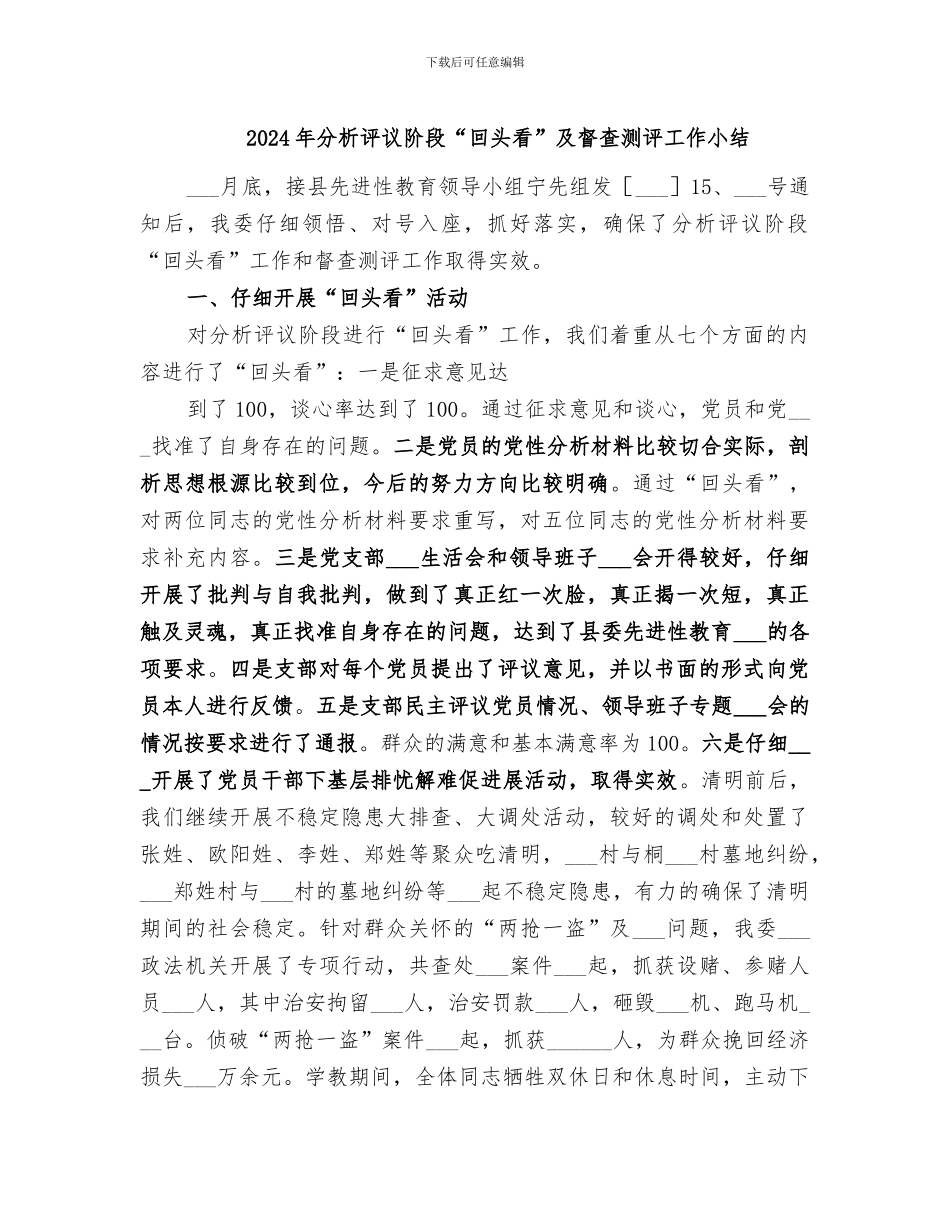 2024年分析评议阶段“回头看”及督查测评工作小结_第1页