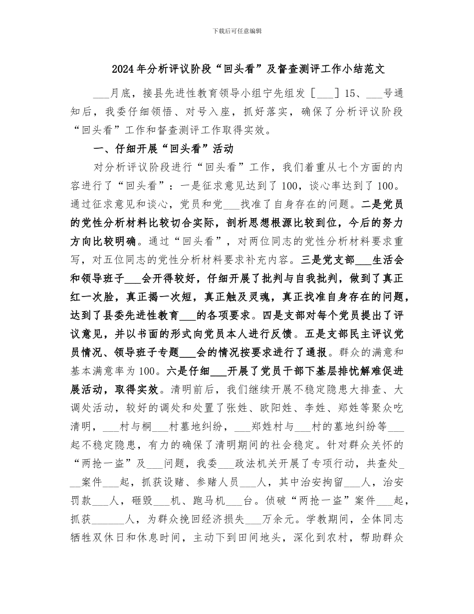 2024年分析评议阶段“回头看”及督查测评工作小结范文_第1页