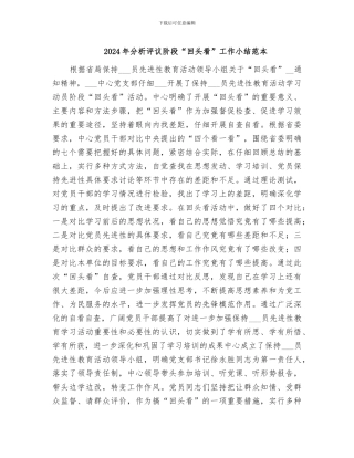 2024年分析评议阶段“回头看”工作小结范本