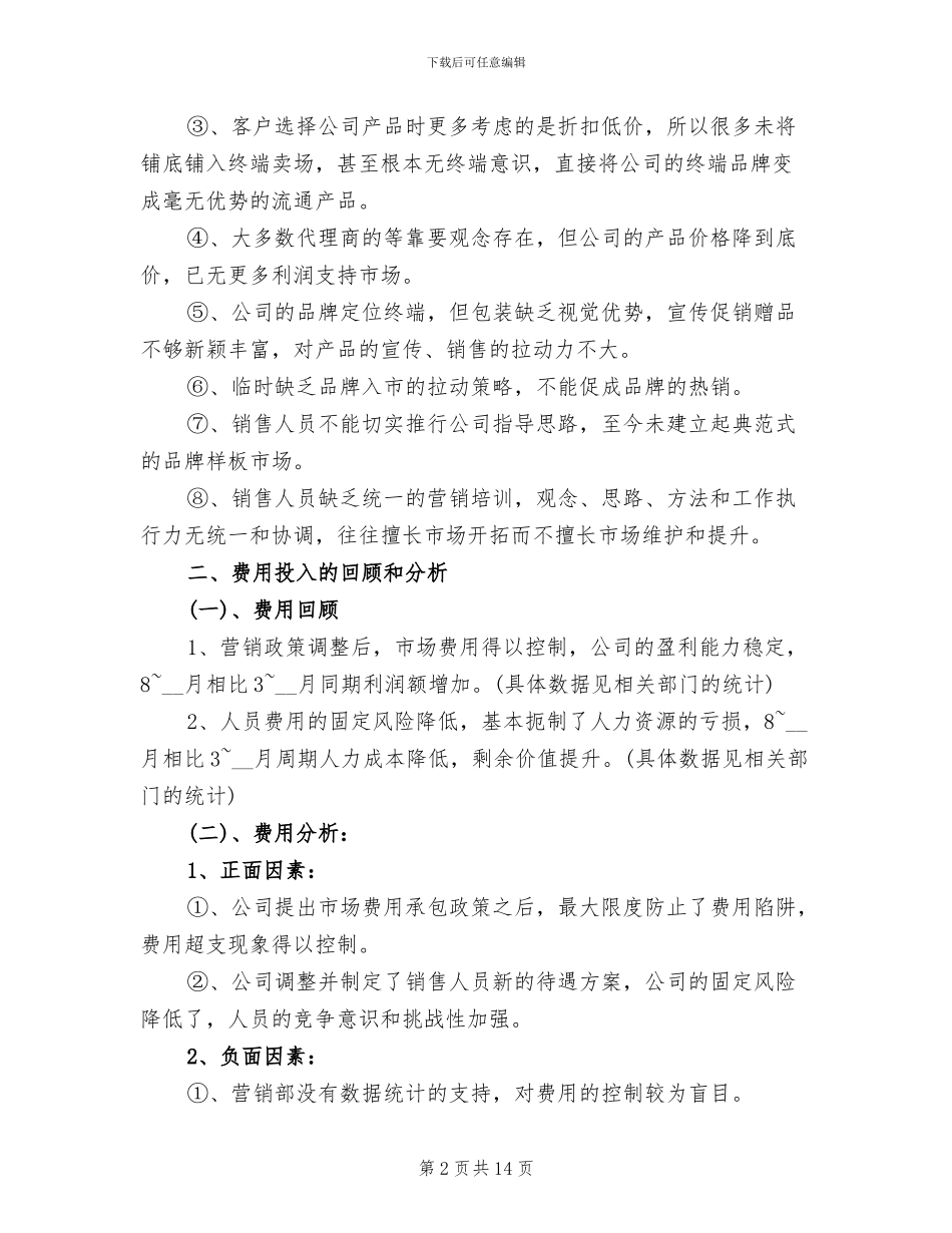 2024年分销总监工作总结_第2页