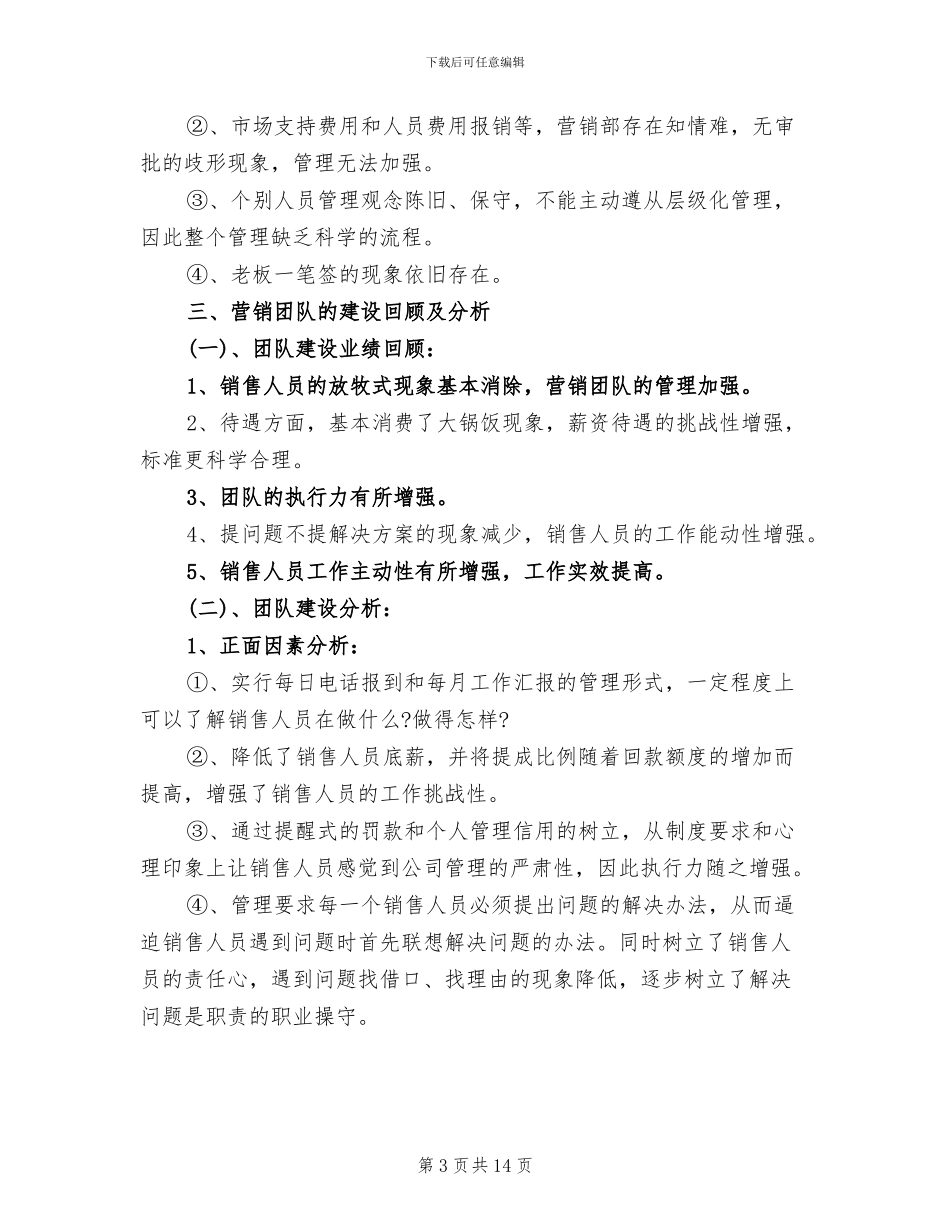 2024年分销总监工作总结_第3页