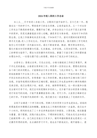 2024年刚入职的工作总结