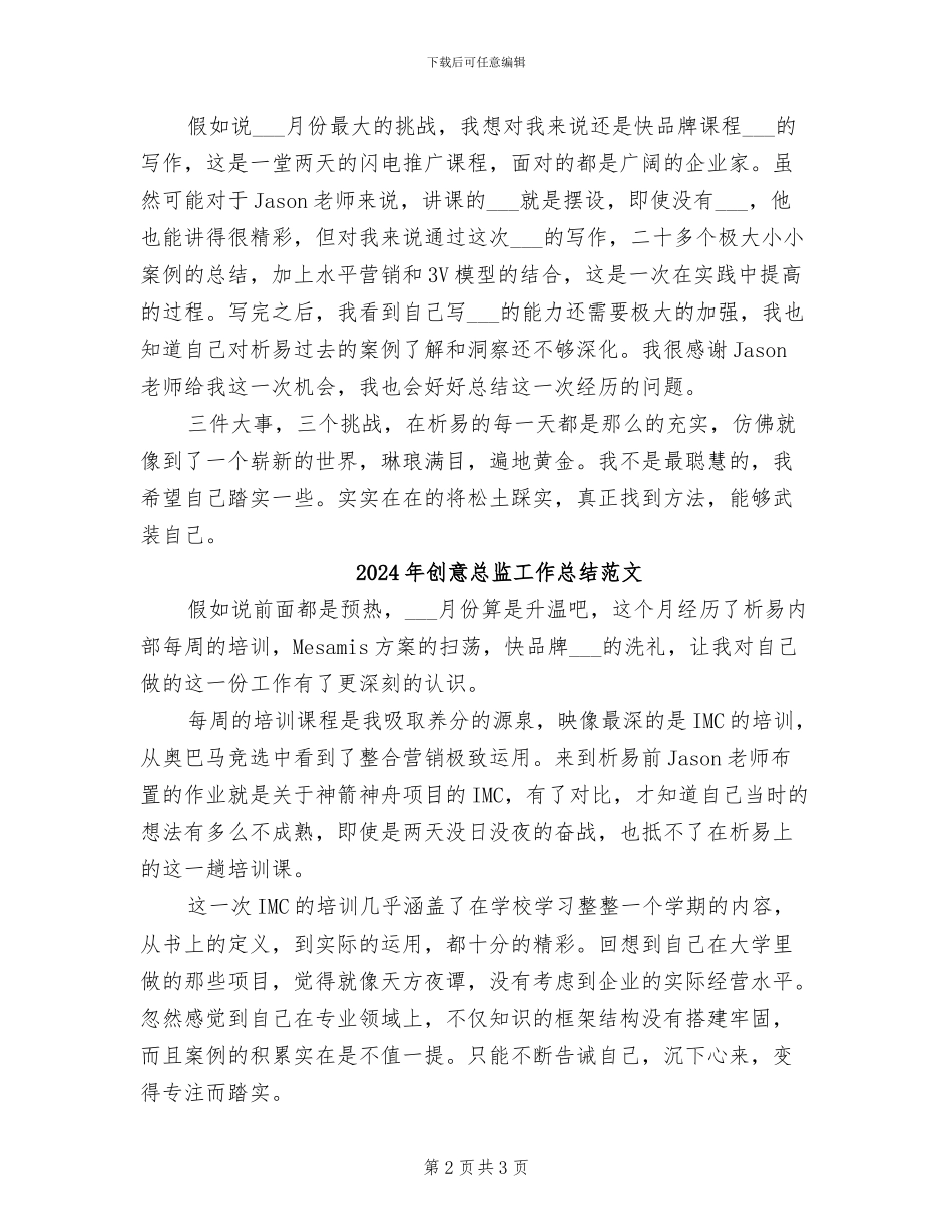 2024年创意总监工作总结_第2页