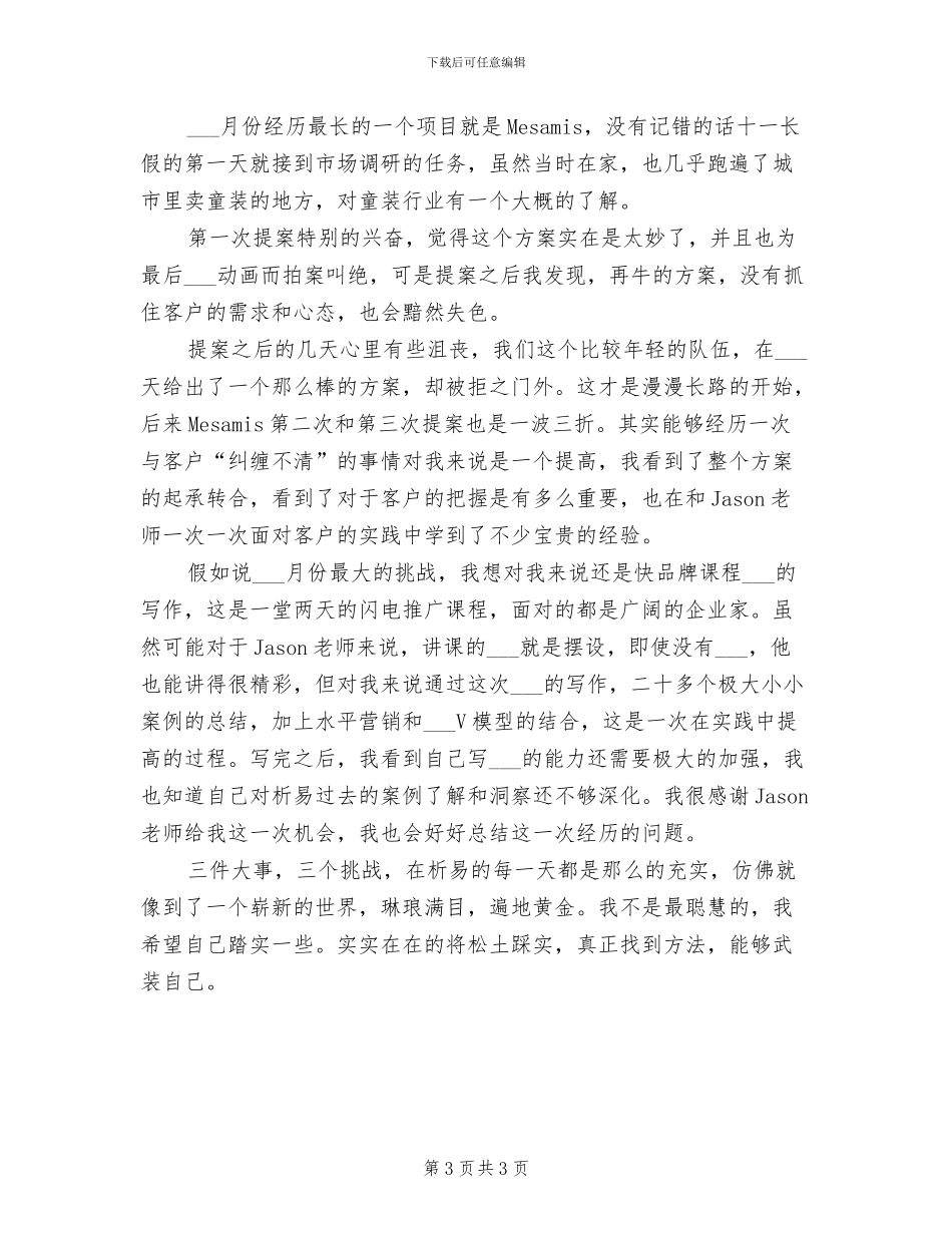 2024年创意总监工作总结_第3页