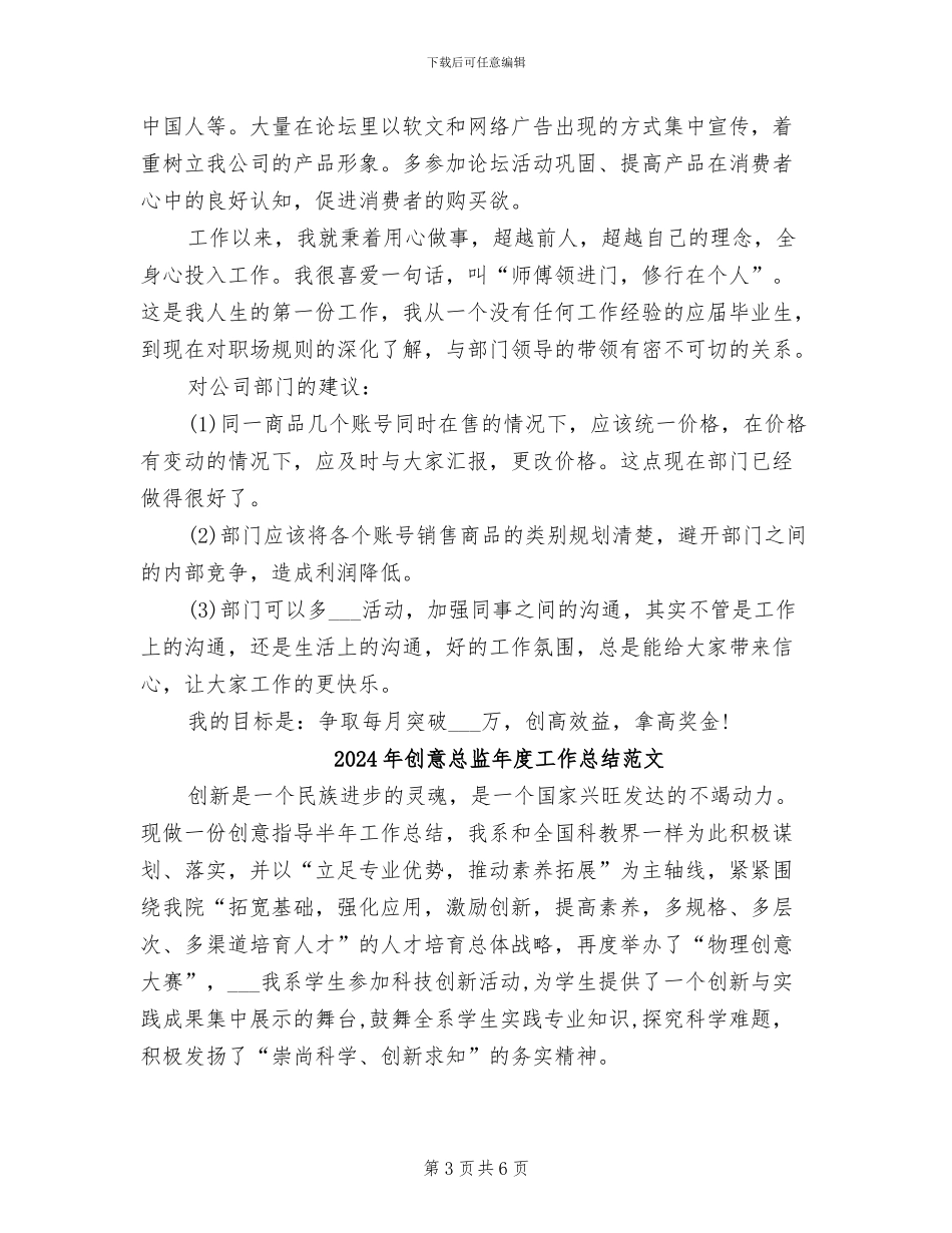 2024年创意总监年度工作总结_第3页