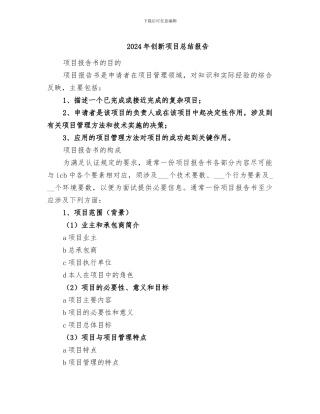 2024年创新项目总结报告
