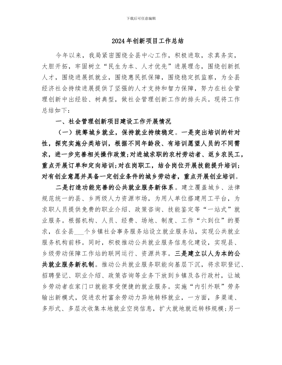 2024年创新项目工作总结_第1页