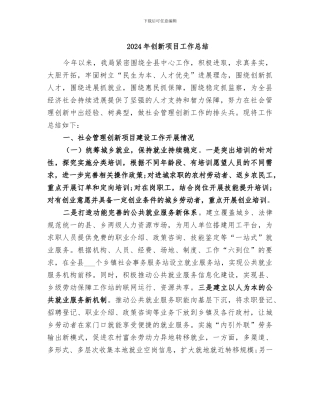 2024年创新项目工作总结