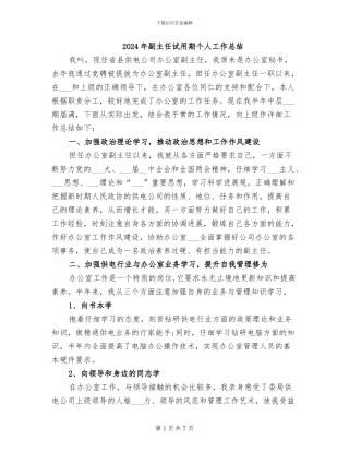 2024年副主任试用期个人工作总结