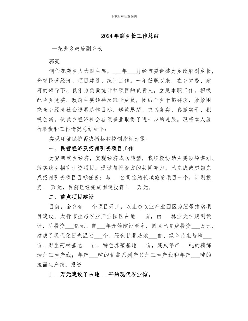 2024年副乡长工作总结_第1页