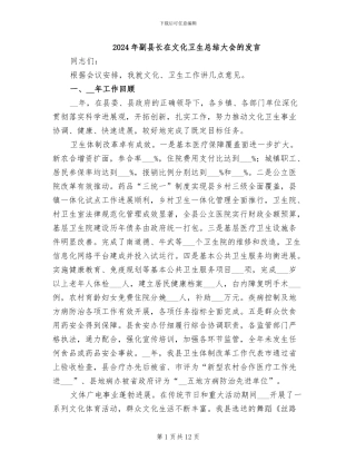 2024年副县长在文化卫生总结大会的发言