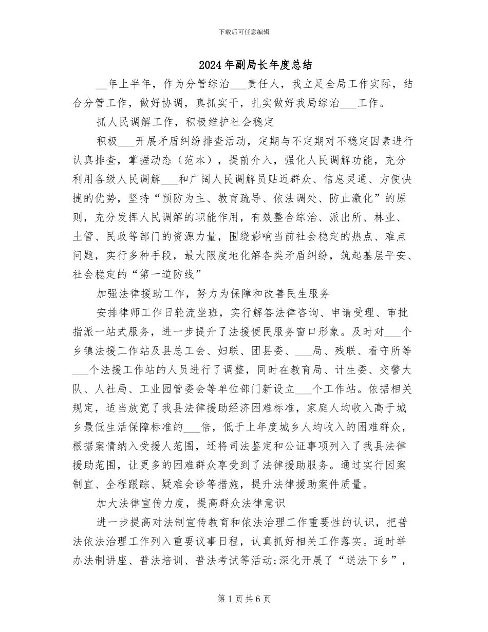 2024年副局长年度总结_第1页