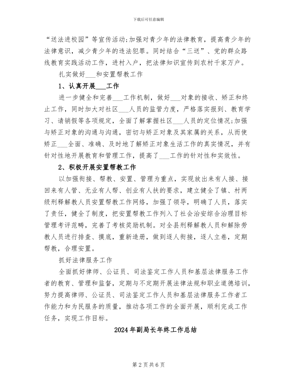 2024年副局长年度总结_第2页