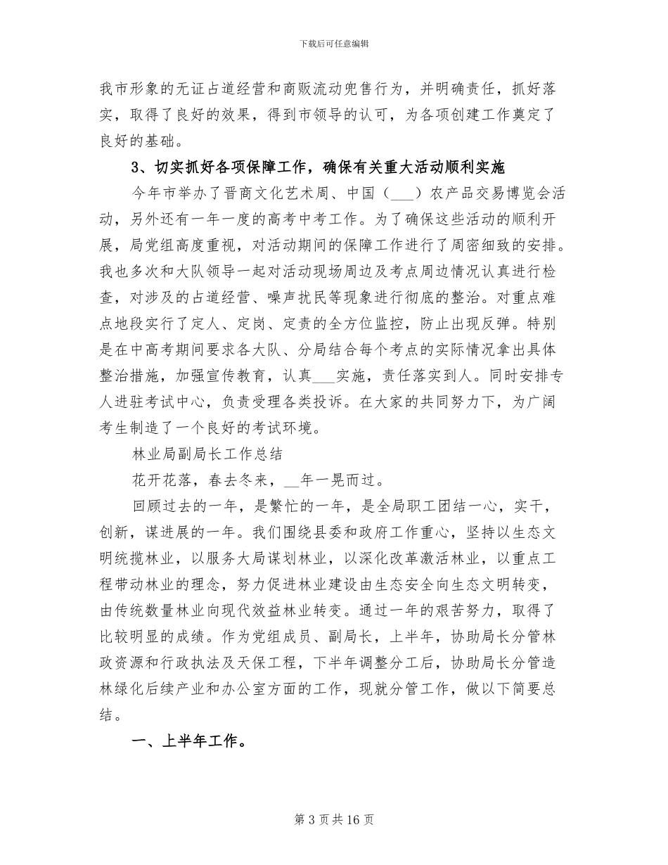 2024年副局长工作总结模板_第3页