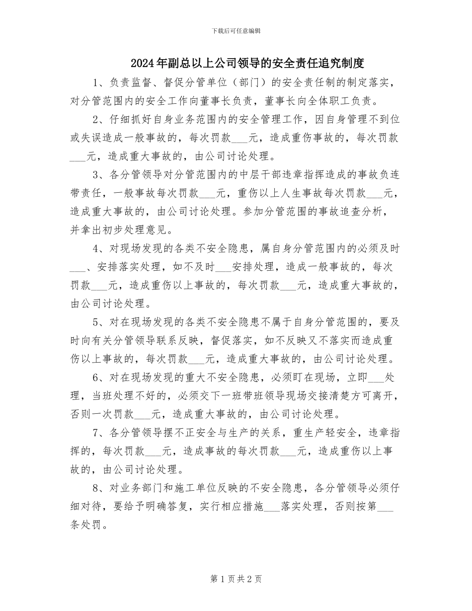2024年副总以上公司领导的安全责任追究制度_第1页
