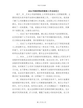 2024年副经理挂职煅炼工作总结范文