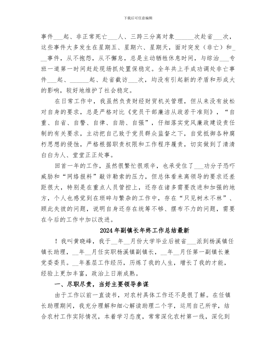 2024年副镇长年终工作总结_第3页