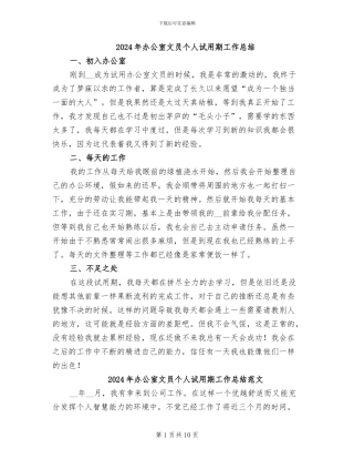 2024年办公室文员个人试用期工作总结