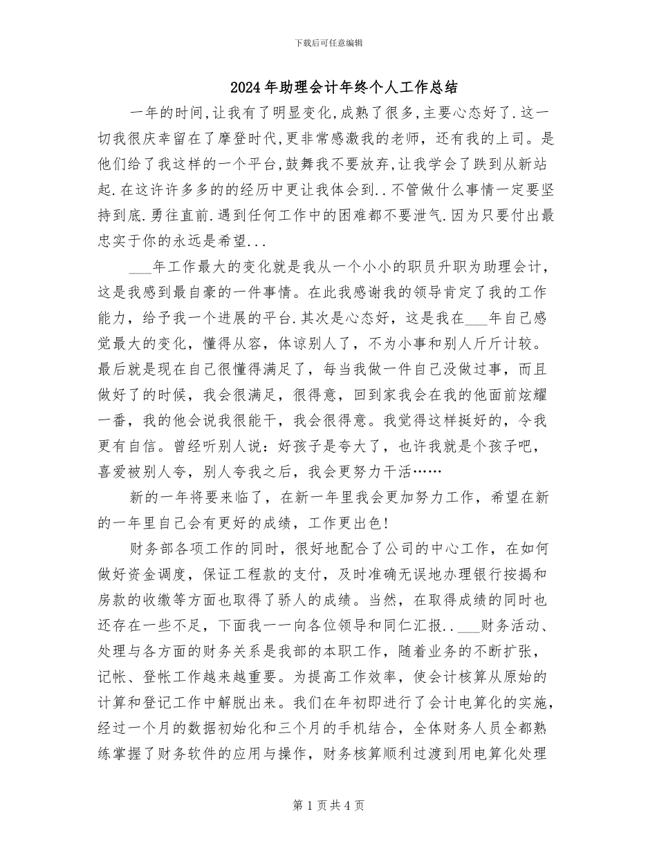 2024年助理会计年终个人工作总结_第1页