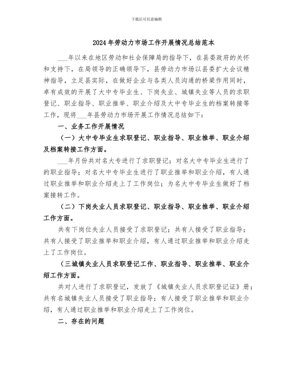 2024年劳动力市场工作开展情况总结范本_第1页