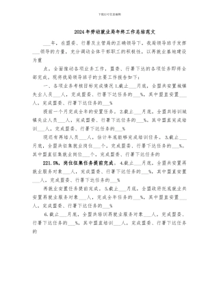 2024年劳动就业局年终工作总结范文