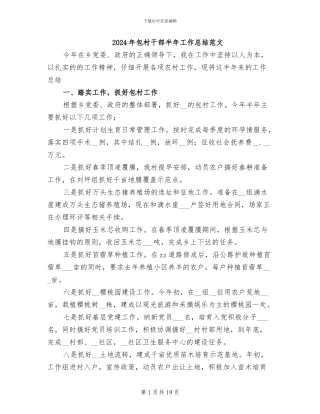 2024年包村干部半年工作总结范文