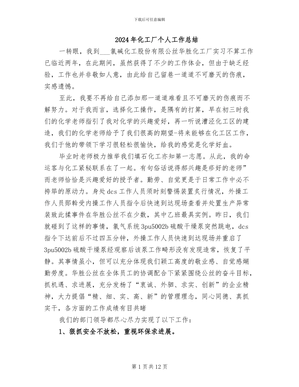 2024年化工厂个人工作总结_第1页