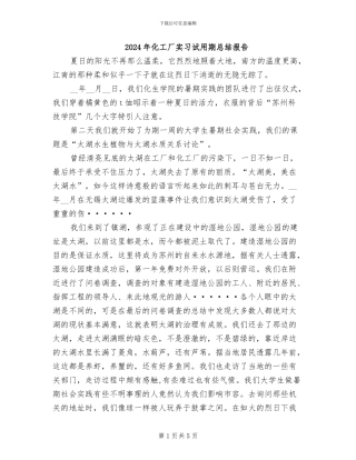 2024年化工厂实习试用期总结报告