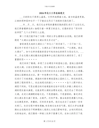 2024年化工工作总结范文