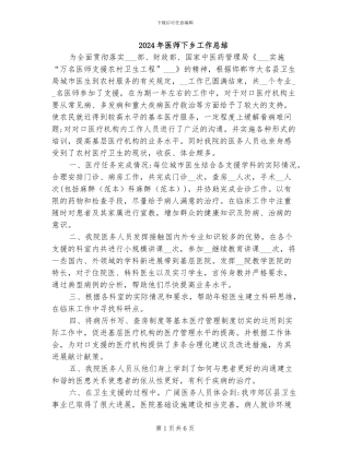 2024年医师下乡工作总结
