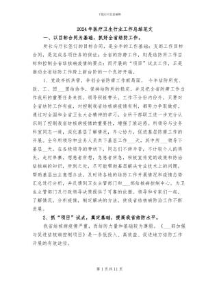 2024年医疗卫生行业工作总结范文