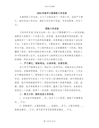 2024年医疗小组保险工作总结