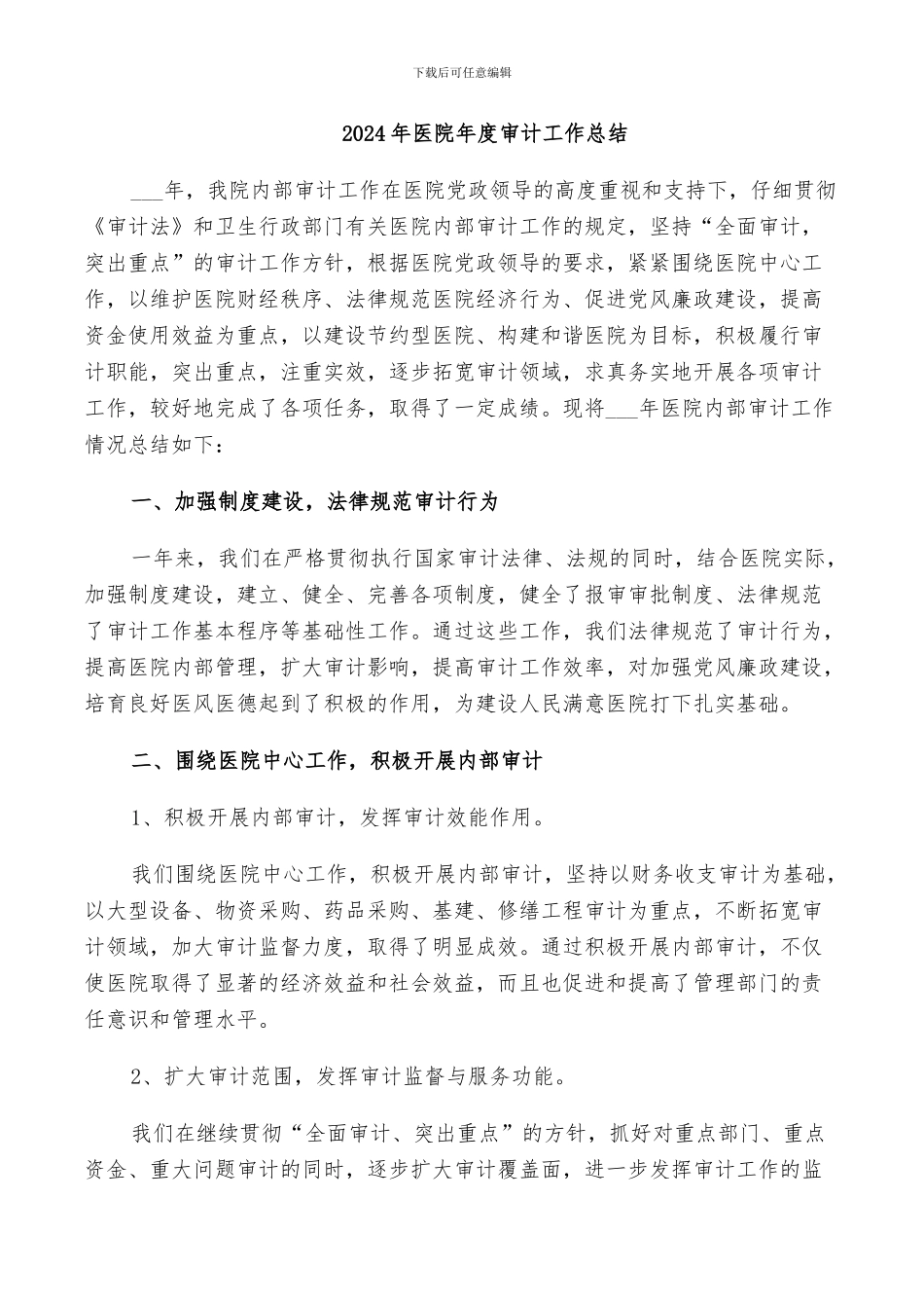 2024年医院年度审计工作总结_第1页