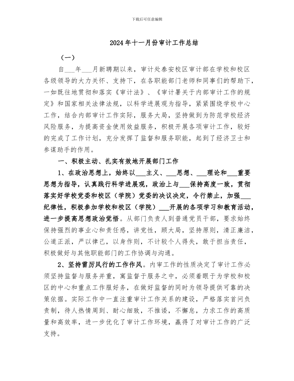 2024年十一月份审计工作总结_第1页