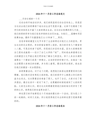 2024年十一月份工作总结范文