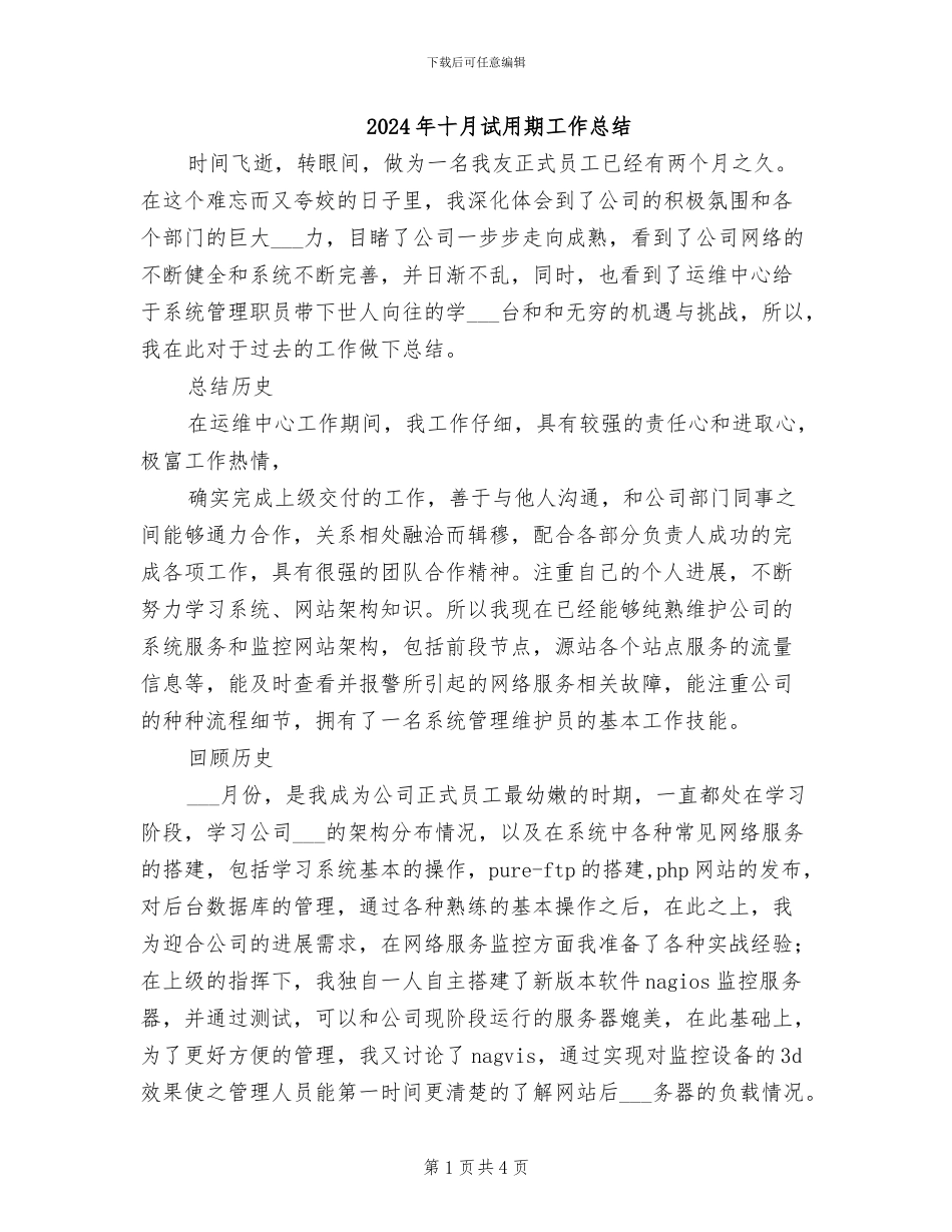 2024年十月试用期工作总结_第1页