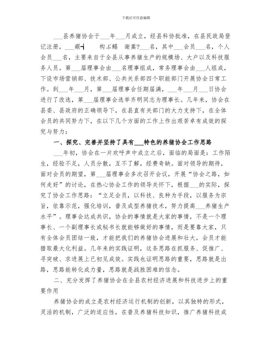2024年协会秘书长年终工作总结范本_第3页