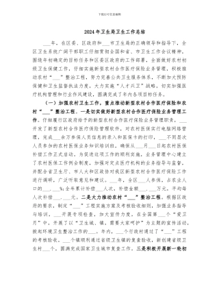 2024年卫生局卫生工作总结