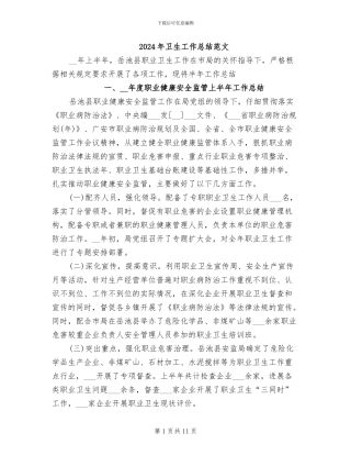 2024年卫生工作总结范文