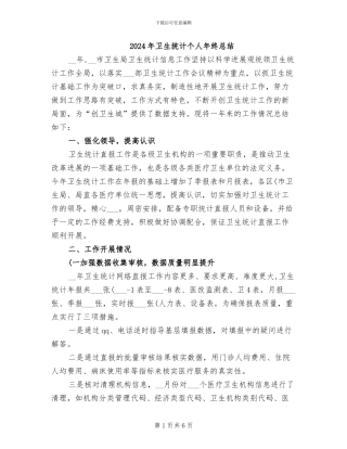 2024年卫生统计个人年终总结