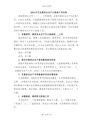 2024年卫生院安全生产大检查工作总结