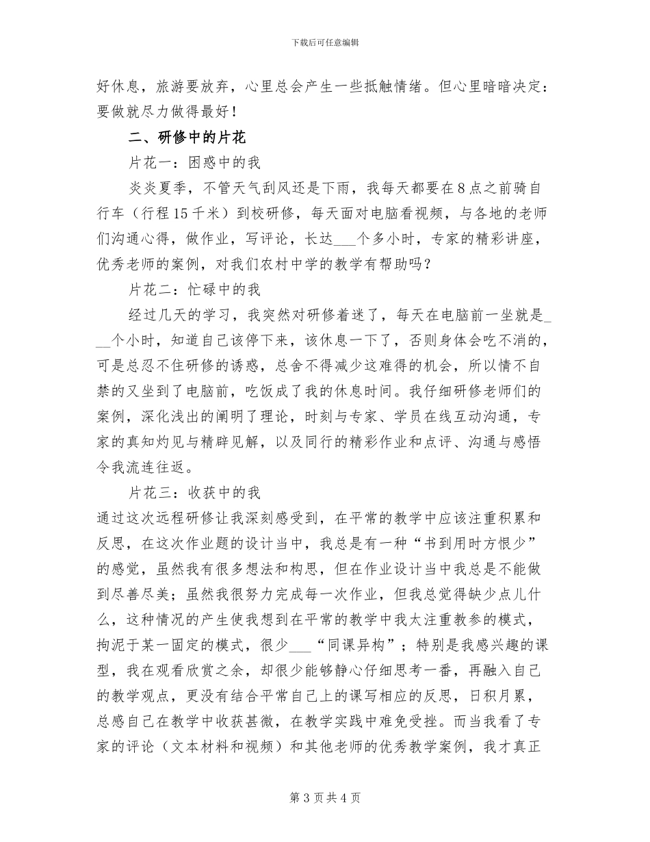 2024年历史教师远程研修总结_第3页
