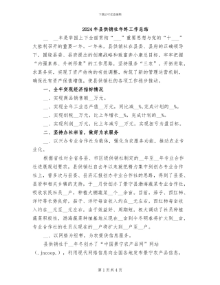 2024年县供销社年终工作总结