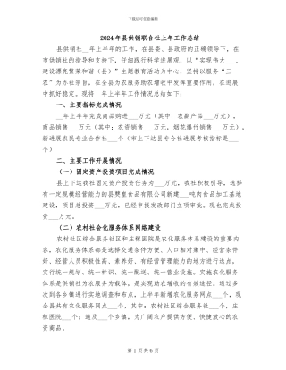 2024年县供销联合社上年工作总结